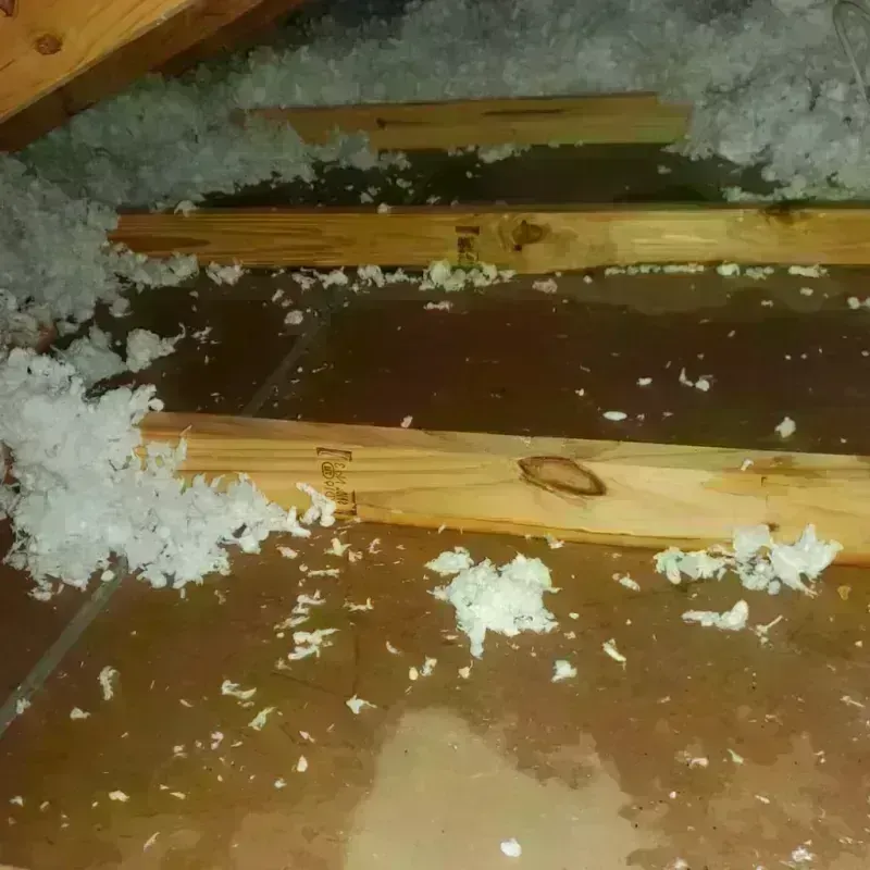 Attic Water Damage in McPherson County, KS