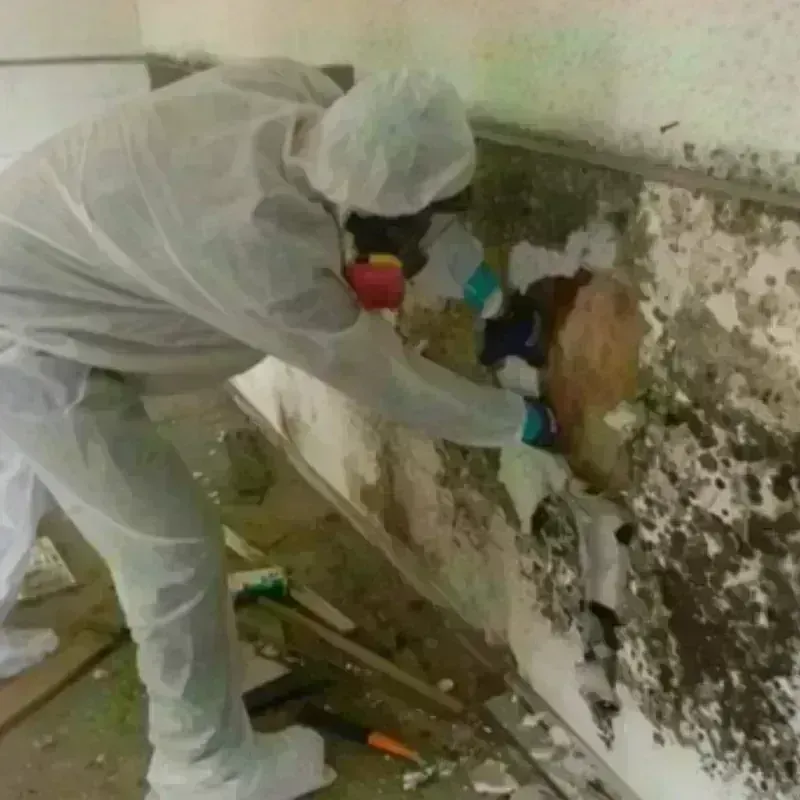 Mold Remediation and Removal in McPherson County, KS