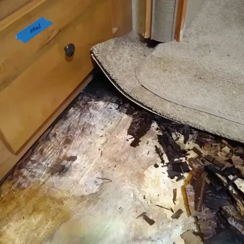 Best Wood Floor Water Damage Service in McPherson County, KS